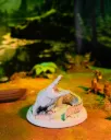 Swamp Crocodile