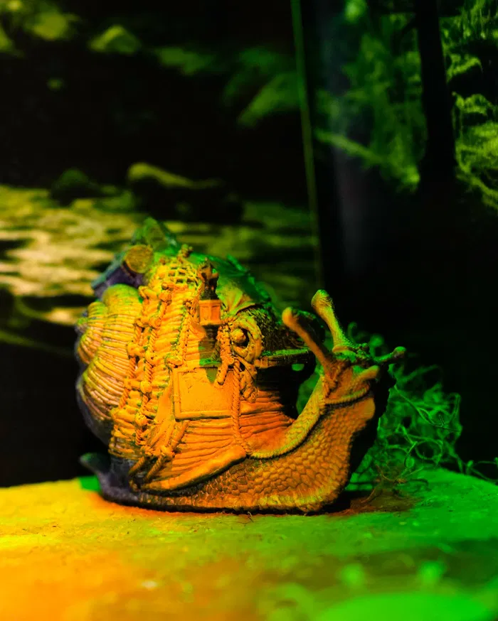 Mistress Silverveil - Merchant Snail